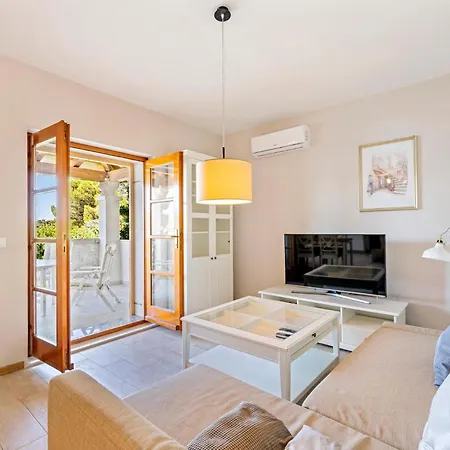 Apartment Cozy In With Kitchen