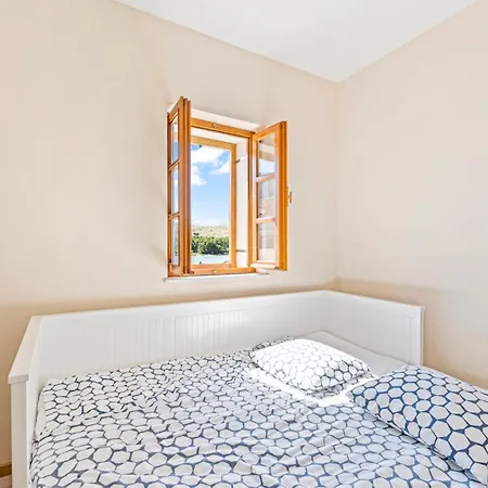 Cozy In With Kitchen Apartment Zaboric